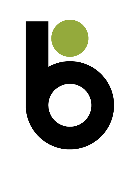 BitBurst IT Logo